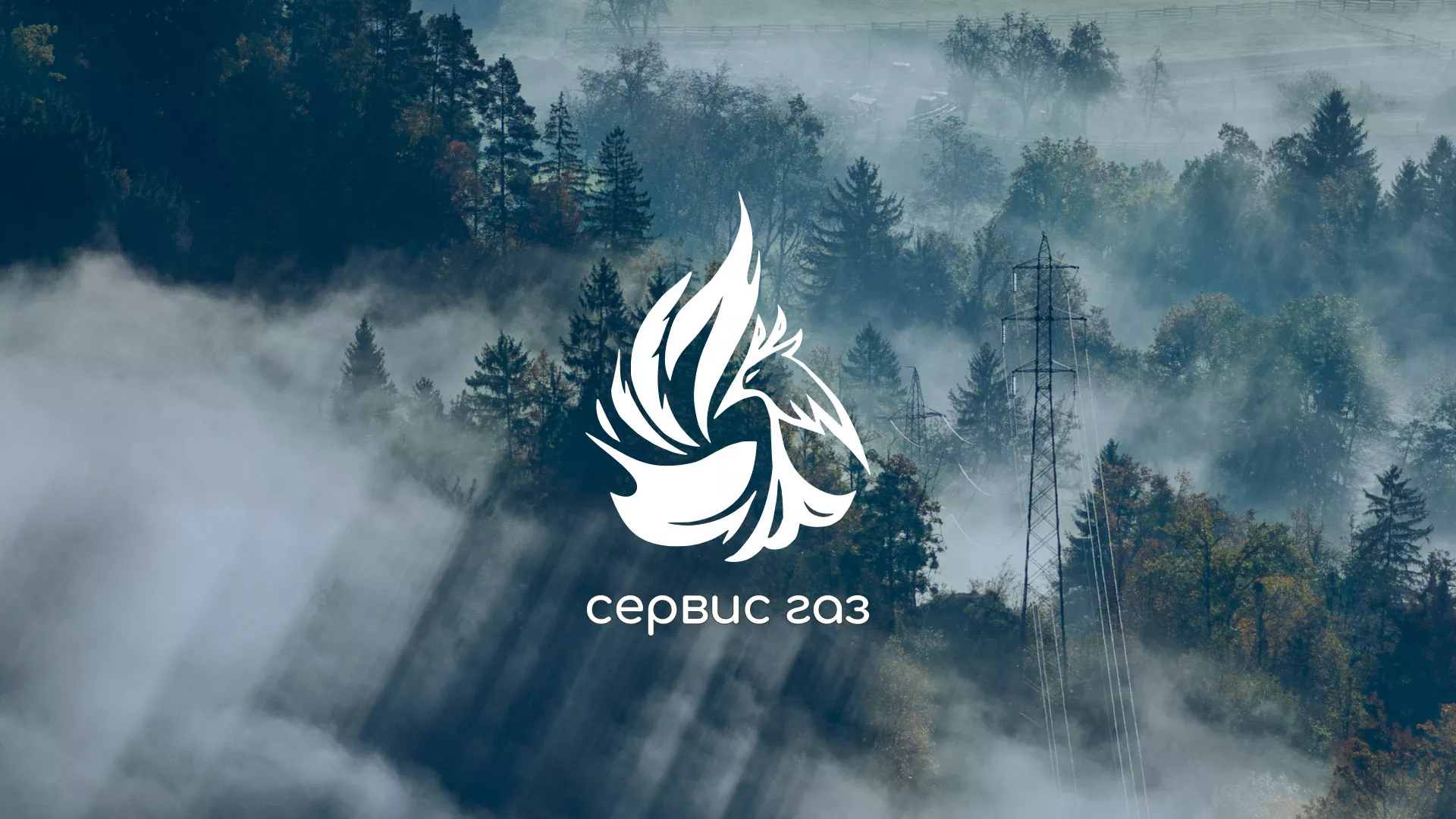 Создание сайта компании «Сервис газ» в Заводоуковске