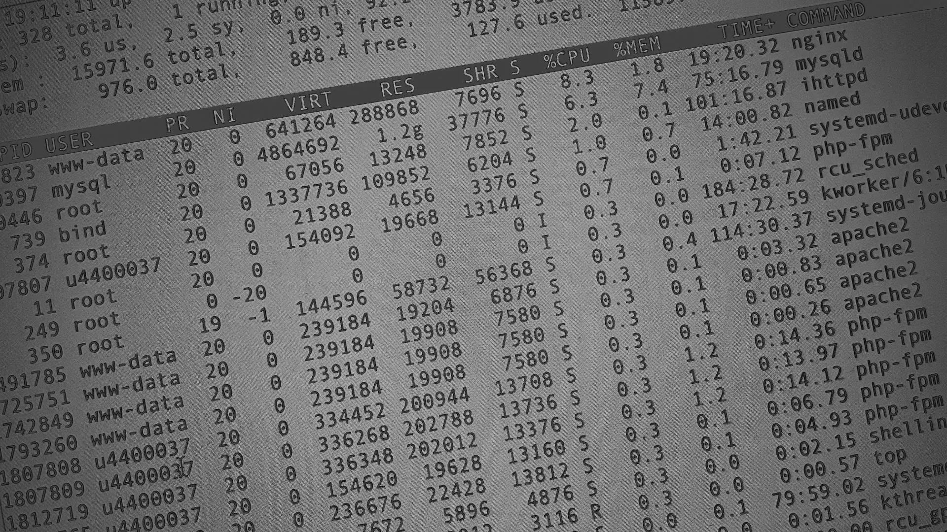 Настройка сервера в Заводоуковске Настройка сервера в Заводоуковске